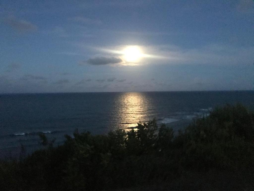Pipatoa Bungalows Praia de Pipa エクステリア 写真